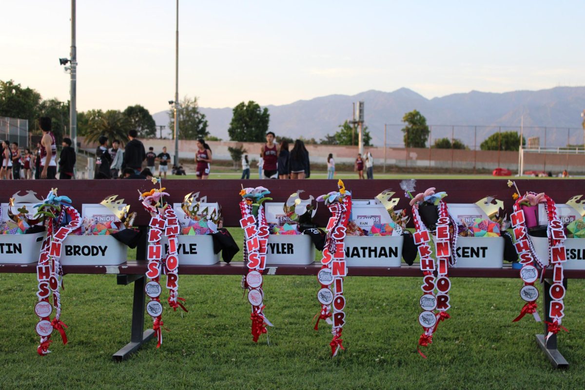 Track and Field Celebrates Senior Night