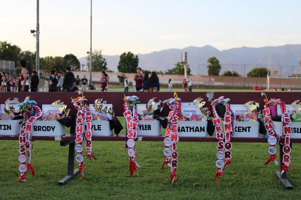 Track and Field Celebrates Senior Night